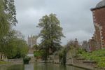 PICTURES/Cambridge - Punting Down the Cam River/t_DSC02739.JPG